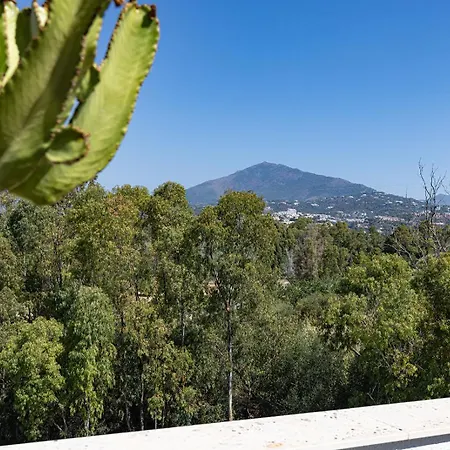 Bright Penthouse With Swimming Pool In Apartment Marbella